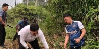Tak Terhalang Batas Kewenangan, Bupati Lebong Bergerak Bersihkan Jalan
