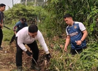 Tak Terhalang Batas Kewenangan, Bupati Lebong Bergerak Bersihkan Jalan