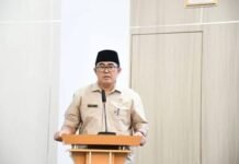 Nasib PPPK Paruh Waktu Bengkulu: Evaluasi Positif, Perpanjangan Menguat