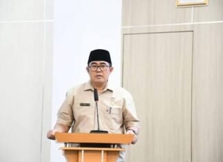 Nasib PPPK Paruh Waktu Bengkulu: Evaluasi Positif, Perpanjangan Menguat