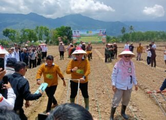 Dukung Ketahanan Pangan, Pemkab Lebong Gencarkan Gerakan Tanam Kedelai